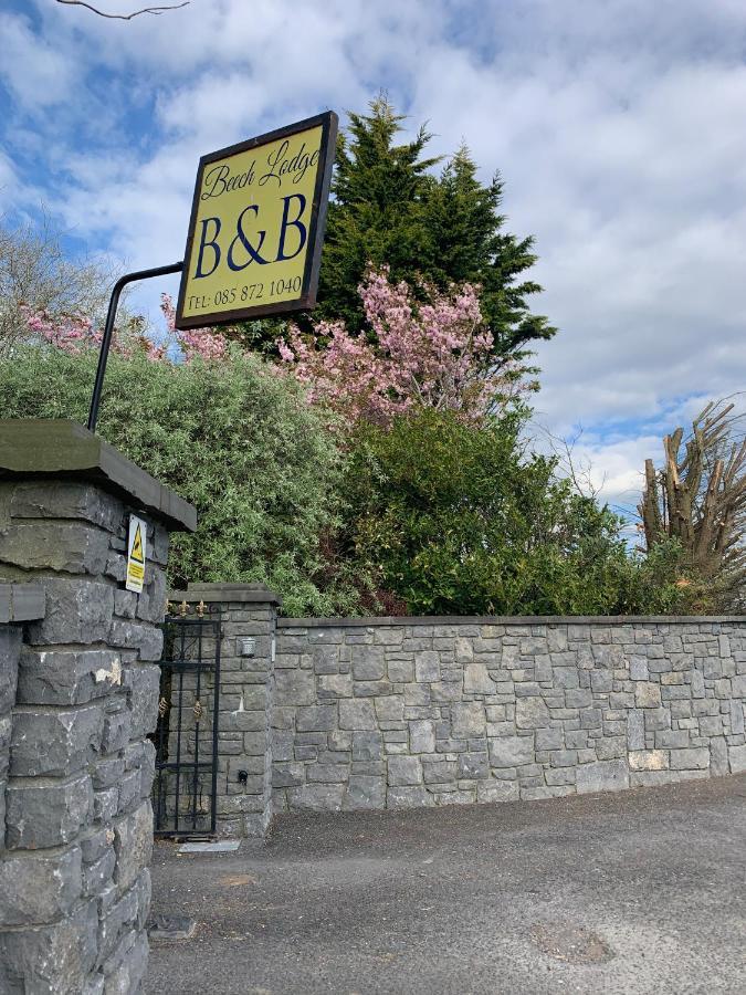 Beech Lodge B&B Lisheenanoran Bagian luar foto