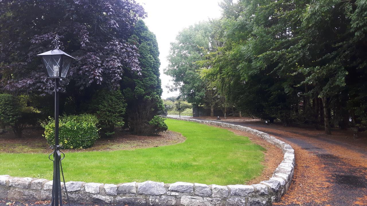 Beech Lodge B&B Lisheenanoran Bagian luar foto